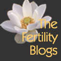 The Fertility Blogs